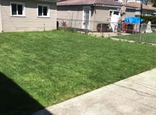 Eric H.'s Yard Cutting service result