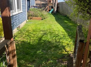 Vernessa C.'s Yard Cutting service result