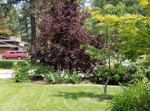 Bush Trimming by Donald Miller for Christopher C. in Spokane Valley, WA