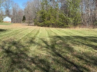 Phillip K.'s Grass Cutting service result