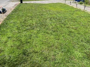 Ashley W.'s Lawn Care service result