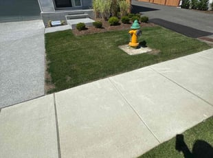 Andrea P.'s Lawn Mowing service result