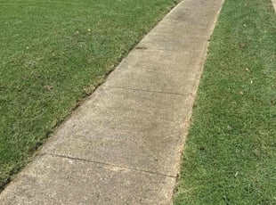 Randy I.'s Lawn Care service result