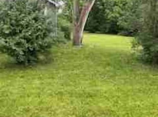 Yeei M.'s Lawn Mowing service result