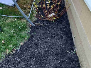 Mulching by Javis Hogan for Tricia R. in Papillion, NE