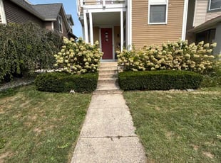 Bush Trimming by Chris Smith for Slater H. in Indianapolis, IN