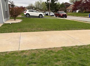 Paul P.'s Yard Cutting service result