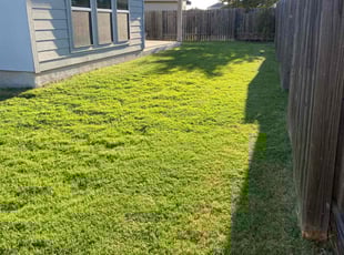 Wallace S.'s Lawn Mowing service result