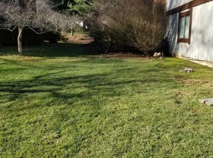 Cleanups by Miguel Santos for Glenn M. in Germantown, MD