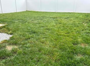 James S.'s Lawn Mowing service result