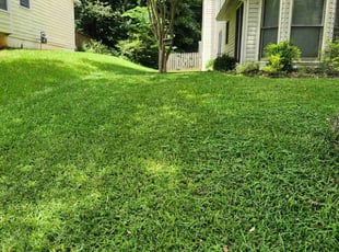 Pamela B.'s Lawn Care service result