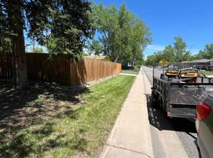 Weeding by Angel Morones for Steven C. in Arvada, CO