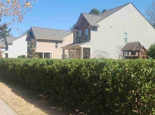 Bush Trimming by Brian Foulks for Lindsey L. in Huntersville, NC