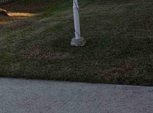 Leaf Removal by Brandon Morris for Gina C. in Ocala, FL