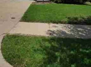 Wallon K.'s Lawn Service service result