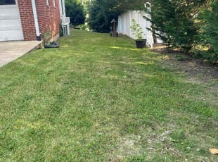 Doudou Z.'s Lawn Maintenance service result
