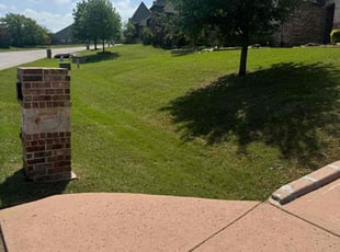 Valerie S.'s Lawn Mowing service result