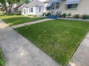 Ardia A.'s Lawn Care service result