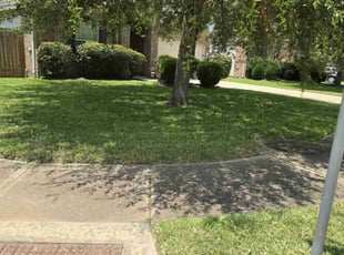 Preston d.'s Lawn Care service result