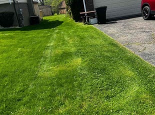 Diane J.'s Lawn Mowing Service service result