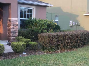 Bush Trimming by Kayla Corson for April D. in Bartow, FL