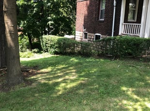 Bush Trimming by Marcus Green for Julie K. in Pittsburgh, PA