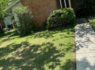 Bush Trimming by Lacy Dixon for Dawn G. in Universal City, TX
