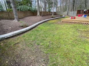 Leaf Removal by Jaquez Luke for Nathan A. in Glen Allen, VA