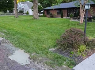 Lamont H.'s Lawn Service service result