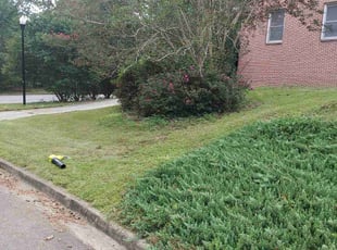 Bush Trimming by Rodney Rhone for Robert G. in Columbia, SC