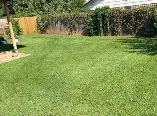 Roger W.'s Lawn Service service result