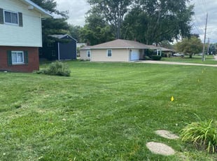 Ron A.'s Lawn Mowing service result