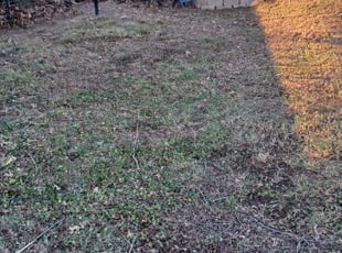 Leaf Removal by Tevin Marlow for Lindsay J. in Louisville, KY