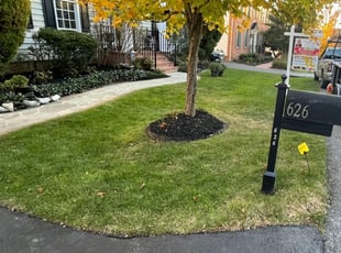 Leaf Removal by Edwin Villagran for David R. in Gaithersburg, MD