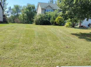 Ron S.'s Lawn Mowing service result