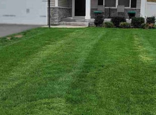 Mary P.'s Lawn Maintenance service result