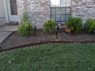 Weeding by Gralin Johnson for LawnLove 1. in Arlington,, TX