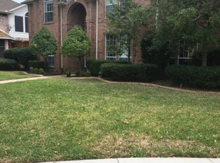Bush Trimming by Marvin Miller for Warren T. in Plano, TX