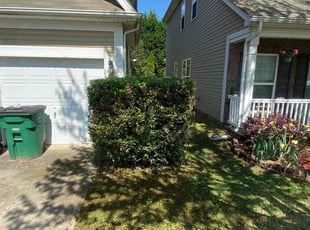 Bush Trimming by Terrance Flowers for Ryan B. in Matthews, NC