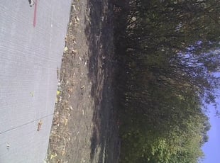 Cleanups by Matt Anderson for Dheeraj K. in Minneapolis, MN