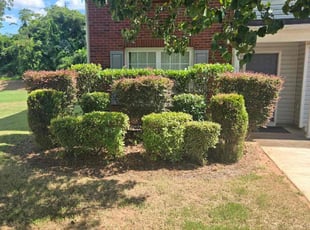 Michael W.'s Bush Trimming service result