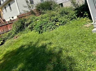 Cleanups by Aaron May for Wyatt S. in Massillon, OH