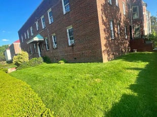 Nolan C. H.'s Lawn Mowing service result