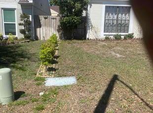 Leaf Removal by Thomas Niederhelman for Aaron r. in Port Richey, FL