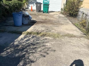 Leaf Removal by Carlos Negrete for William b. in San Antonio, TX