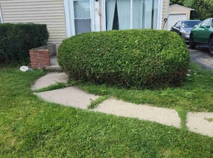 Bush Trimming by Ronnie Anderson for Dominick O. in West Allis, WI