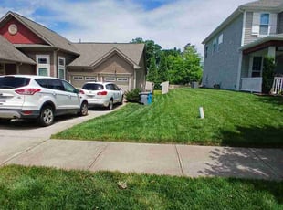 Elisha M.'s Grass Cutting service result