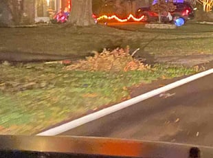Cleanups by Nathan Massey for Emily S. in Auburndale, FL