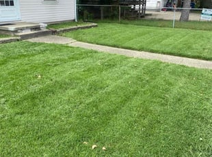 Joseph S.'s Lawn Mowing Service service result