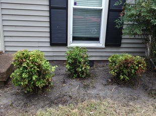 Cleanups by William King for Jessica S. in Nashville, TN
